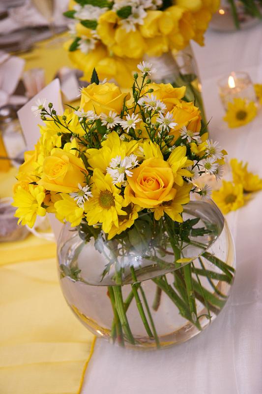 16May'09 1059.JPG